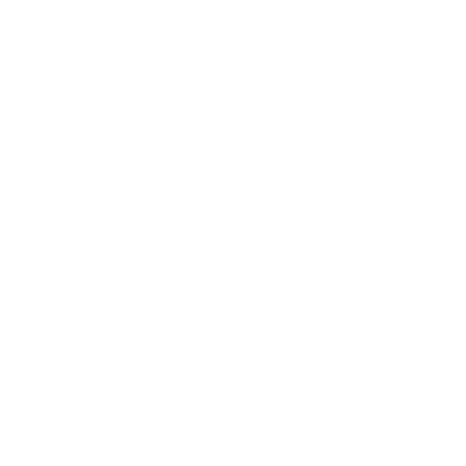 Kettlebell X